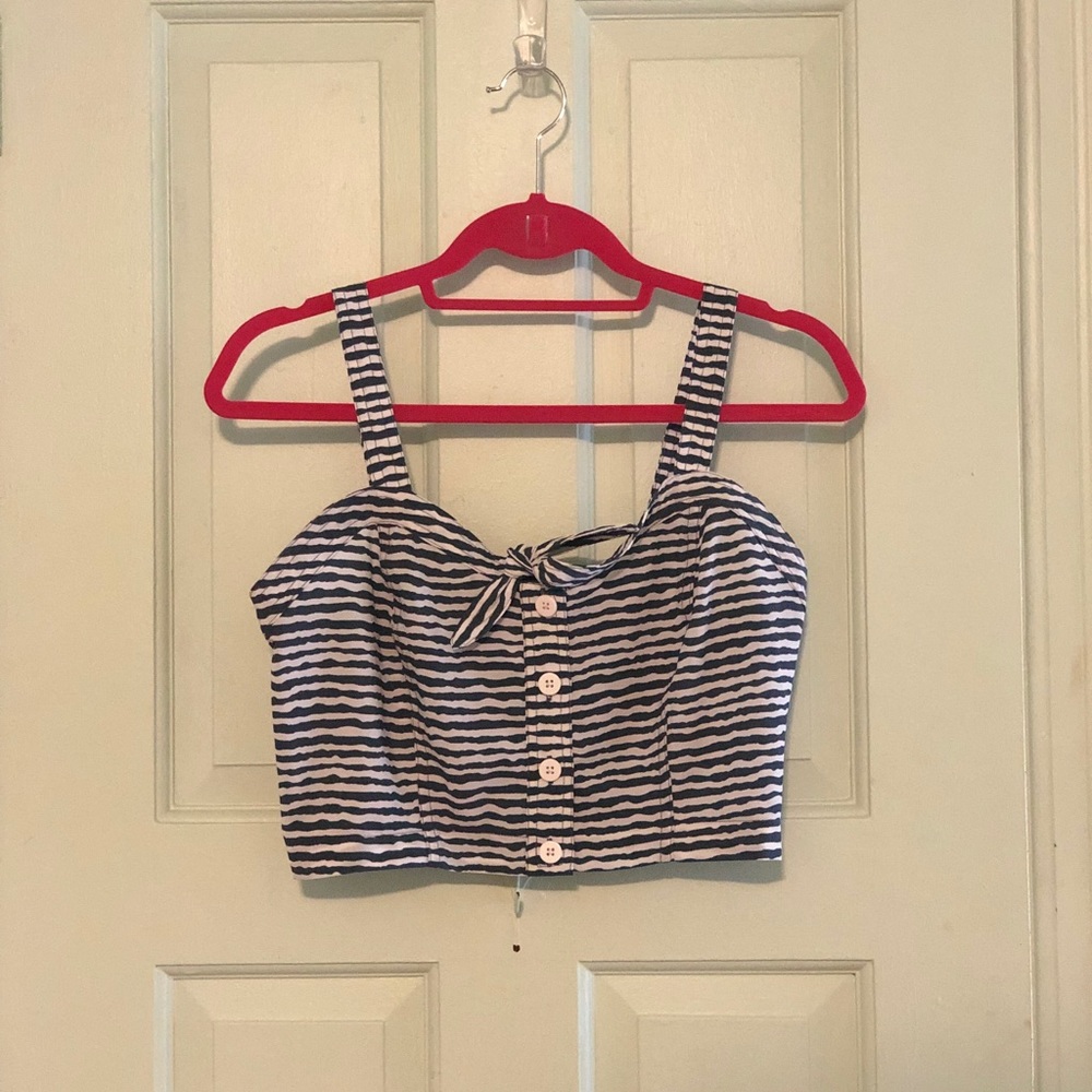 Blue and White Striped Crop Top